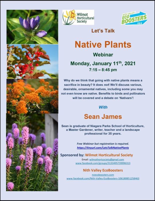 Native Plants with border